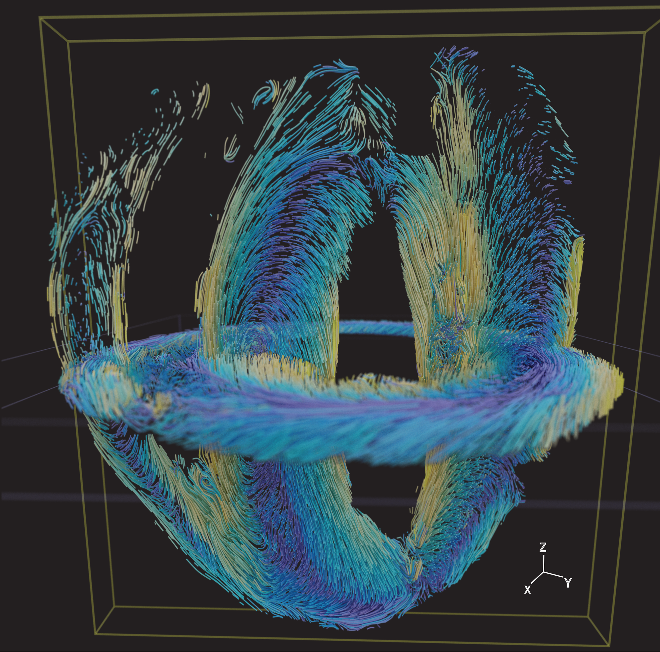 Cardiomyocyte Orientation