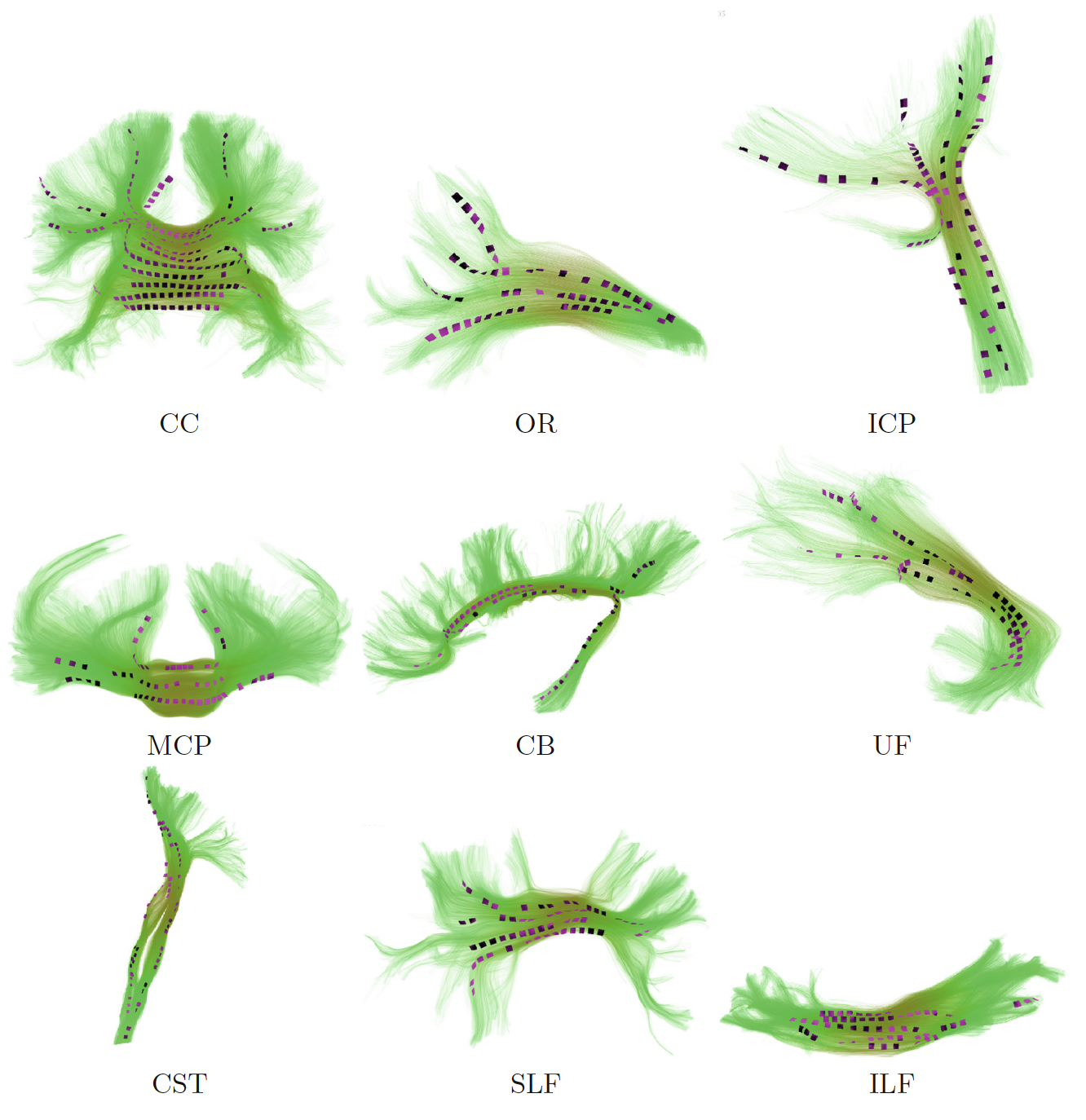 vector field sheets